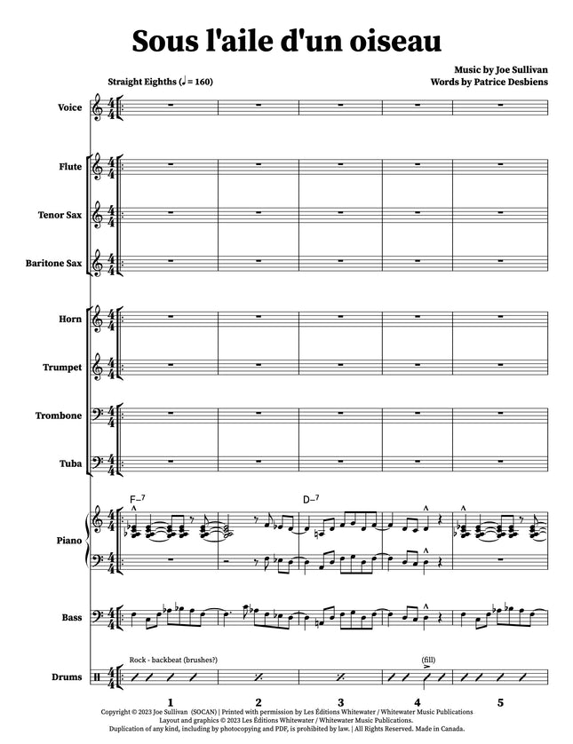 Sous l'aile d'un oiseau - Joe Sullivan