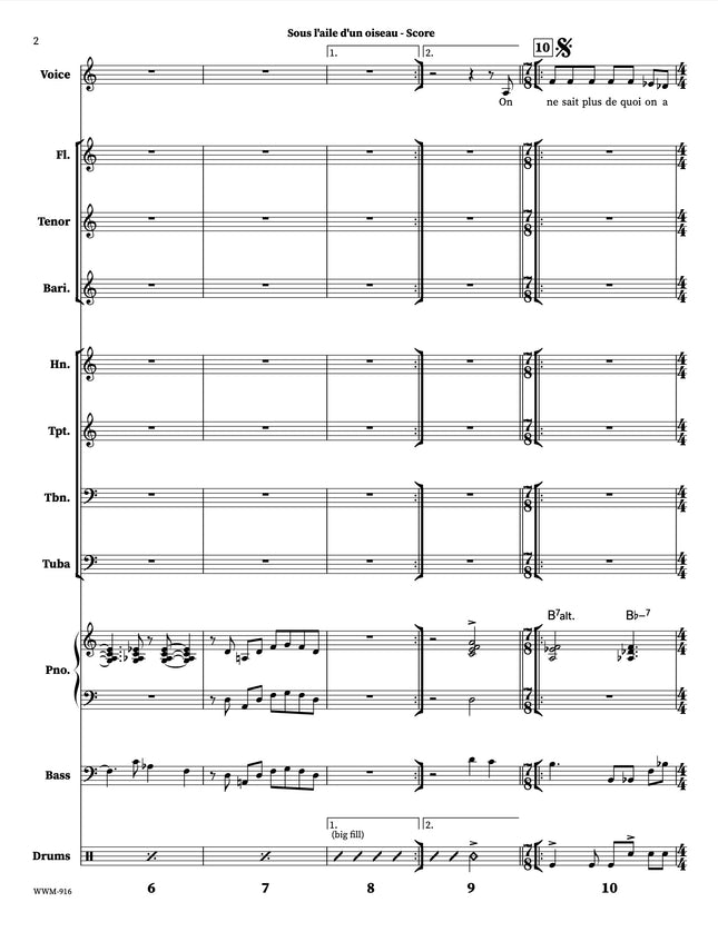 Sous l'aile d'un oiseau - Joe Sullivan