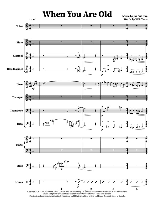 When You Are Old - Joe Sullivan