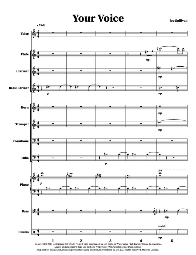 Your Voice - Joe Sullivan