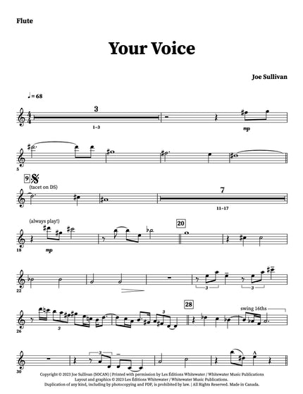 Your Voice - Joe Sullivan
