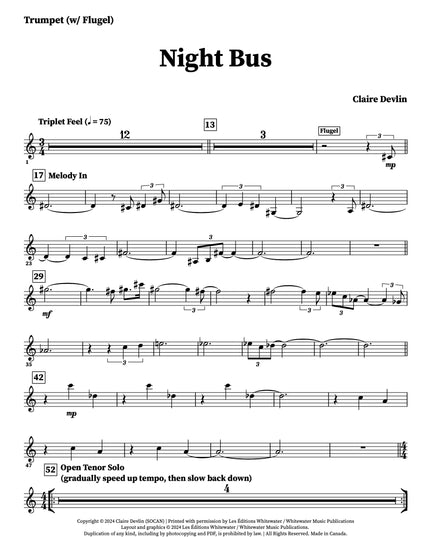 Night Bus - Claire Devlin
