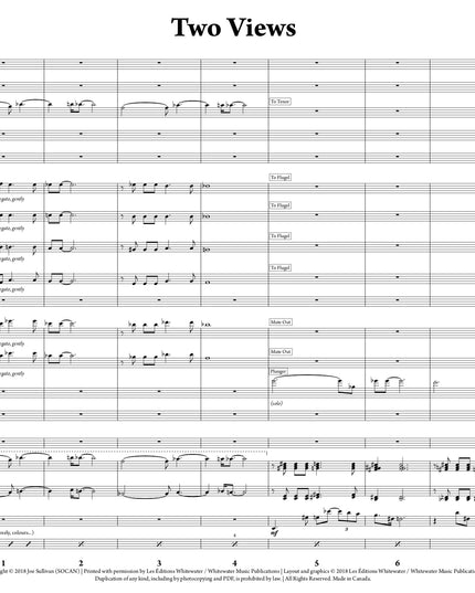 Two Views - Joe Sullivan (Study Score)