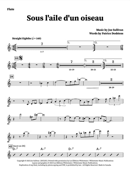 Sous l'aile d'un oiseau - Joe Sullivan