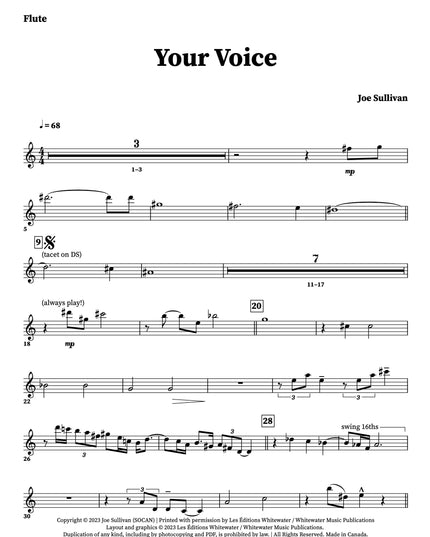 Your Voice - Joe Sullivan